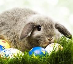 Kaj pomenita velikonočni zajec in velikonočno jajce